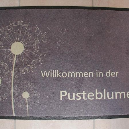Ferienwohnung Pusteblume Cochem Quarto foto